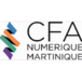 CFA DIGITAL NUMERIQUE DOMOTIQUE COMMUNIC