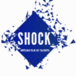 recrutementnord@shock.re